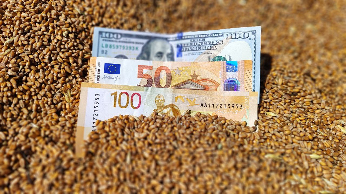 Источник: Поле.РФ