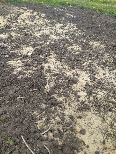 Опилка удобряет почву, делая ее более плодородной, борется с сорняками.