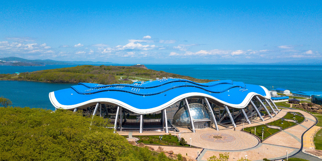 Путеводитель по Владивостоку: куда сходить с детьми