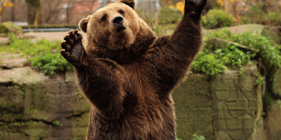 Путеводитель по Калининграду: куда сходить с детьми