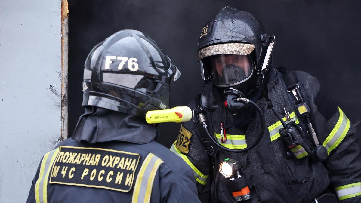    Фото: Belkin Alexey/globallookpress.com