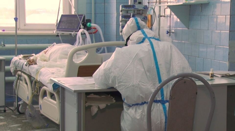    Коронавирус. Источник: "Толк"