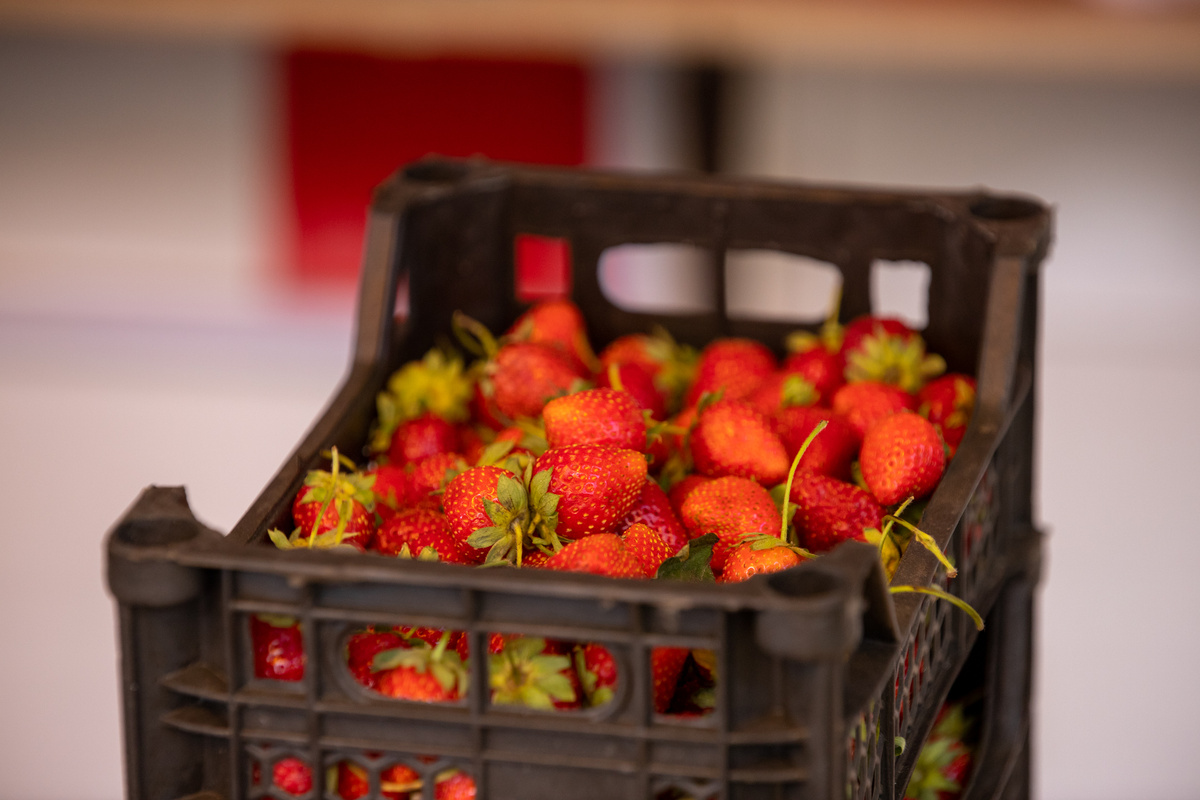 Фото: Тульская служба новостей
