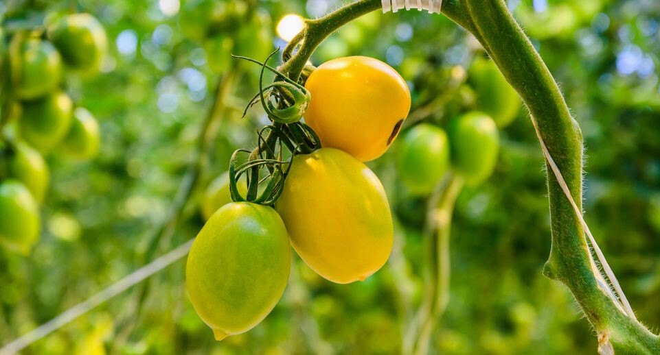    Медиасток.рф