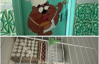    Фото: СК НСО