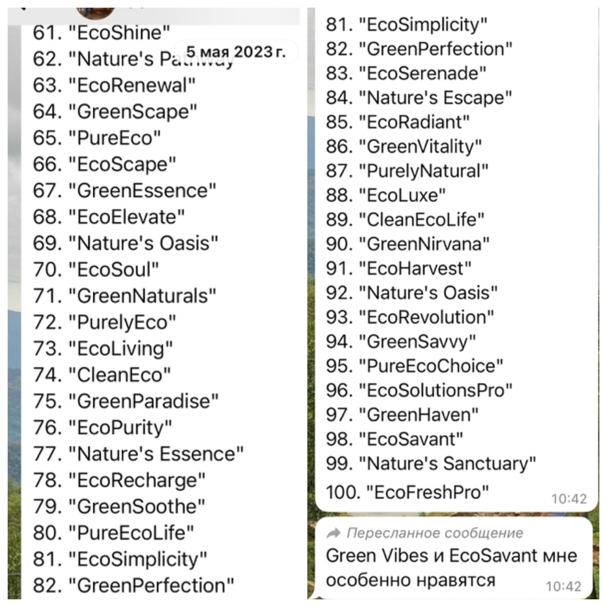 Пример одной сотни вариантов из нескольких проработанных,  что мы рассматривали. Ни одно название не подошло. 