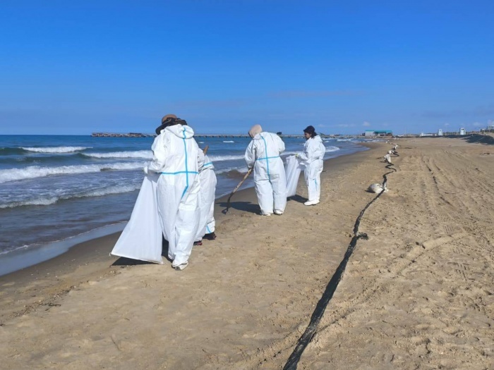    оперативный штаб Краснодарского края