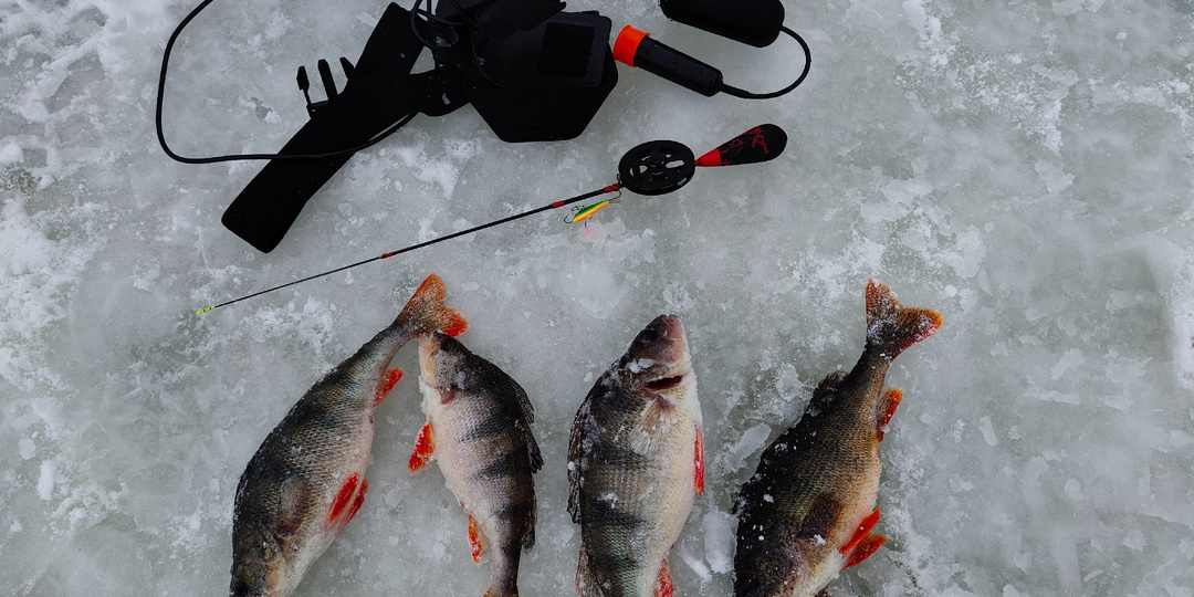 Окунь на балансир.