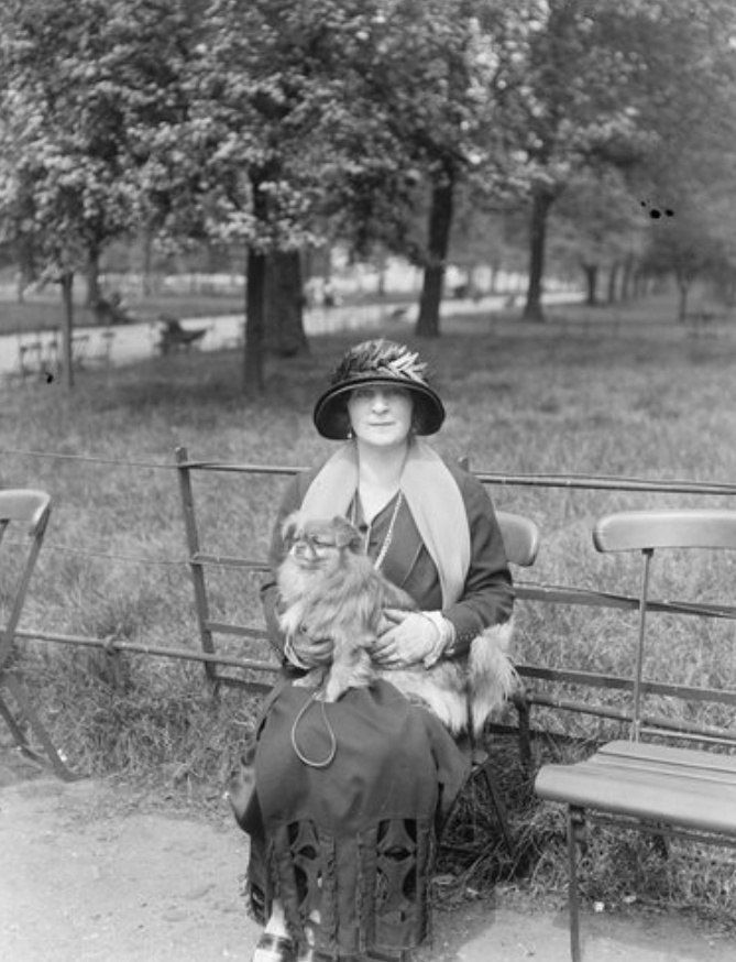 Взято из открытых источников