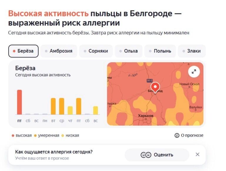    Источник: «Яндекс Погода»