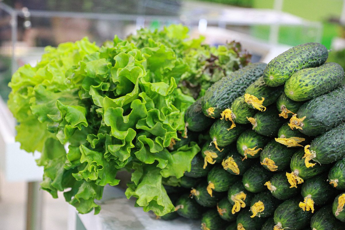 Фото: © Bulkin Sergey/ news.ru/ Global Look Press