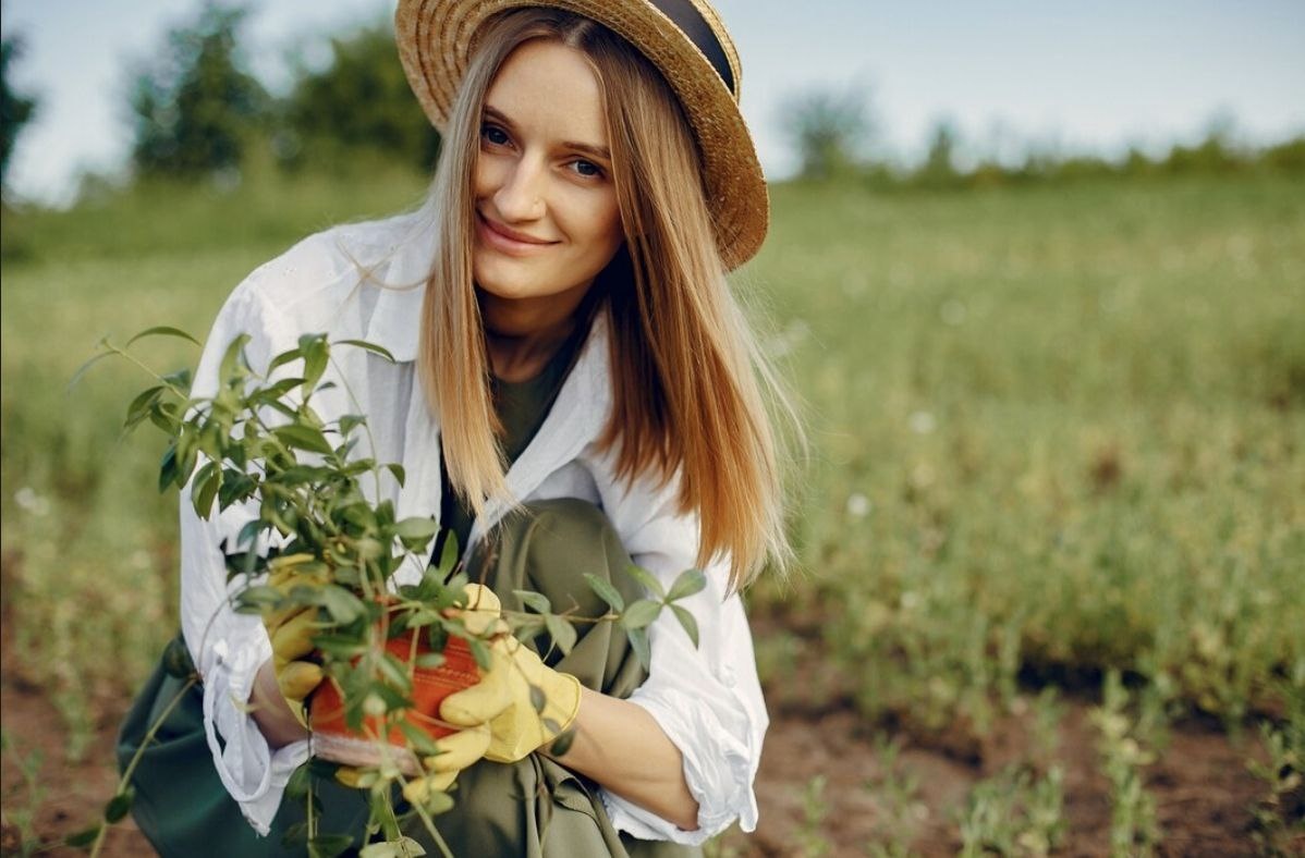 

Фото: prostooleh / freepik.com 