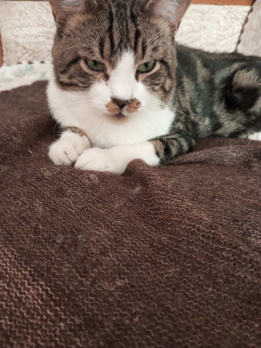 "Это мой платок!"