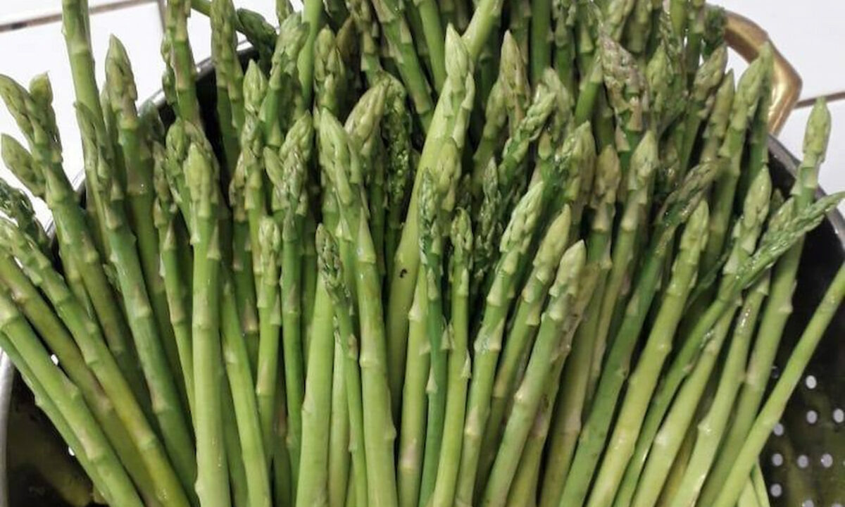    Фото t.me/msimonyan