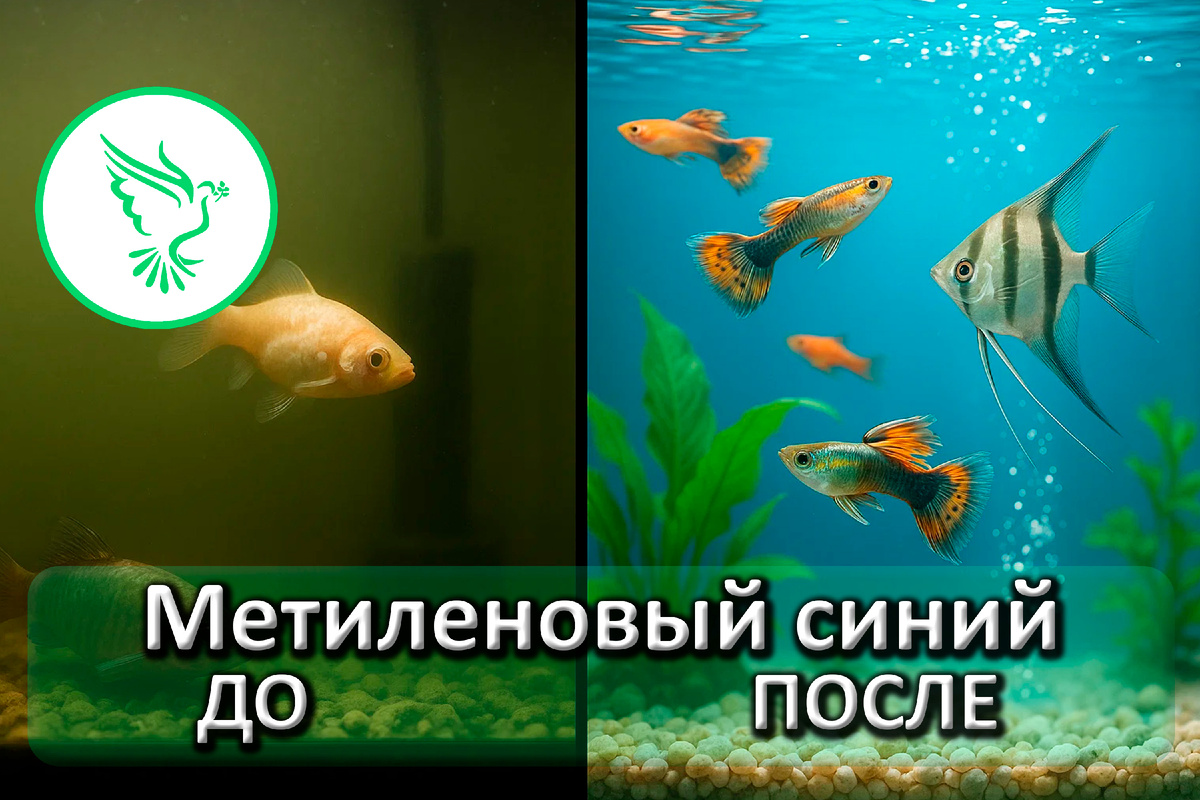 Метиленовый синий
