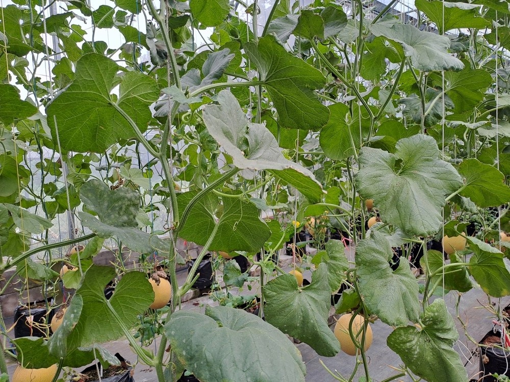    ShutterStock/Fotodom.ru