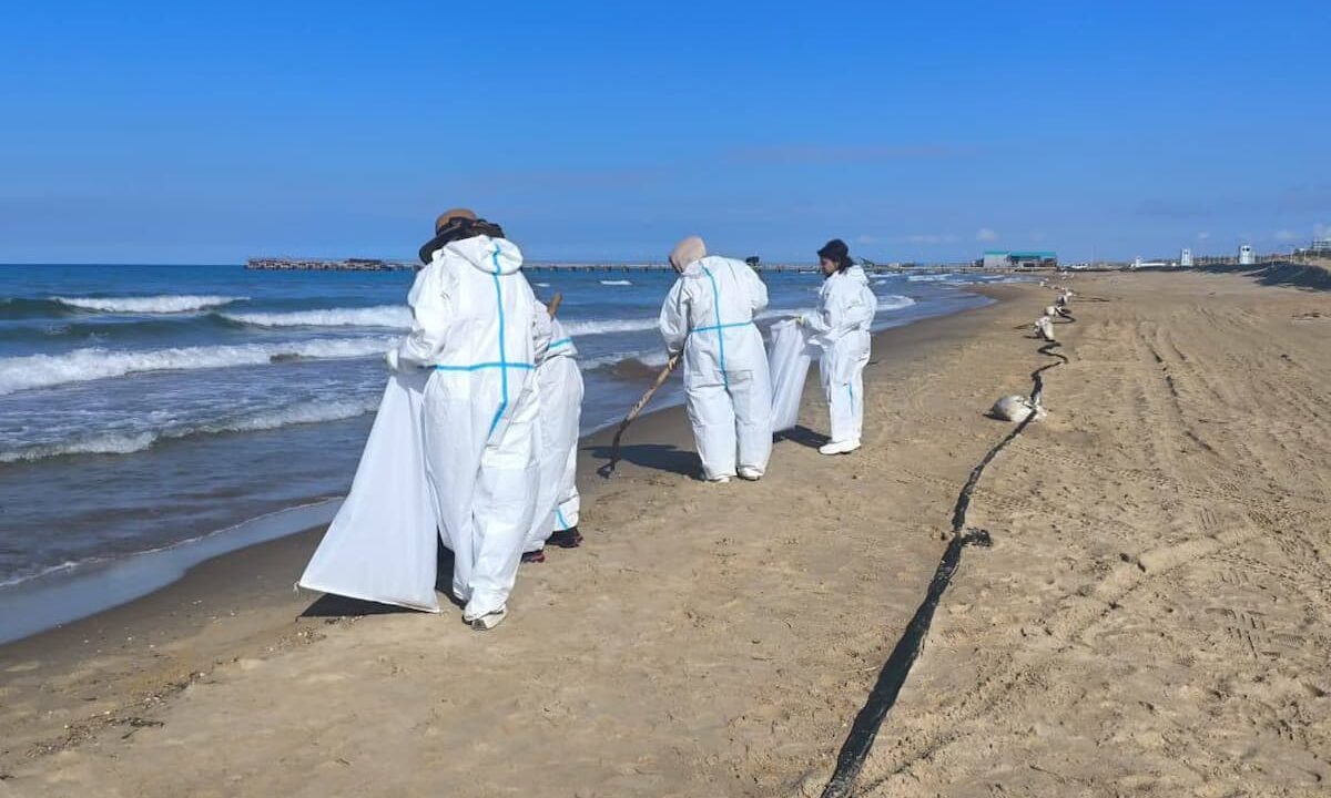    Фото t.me/opershtab23