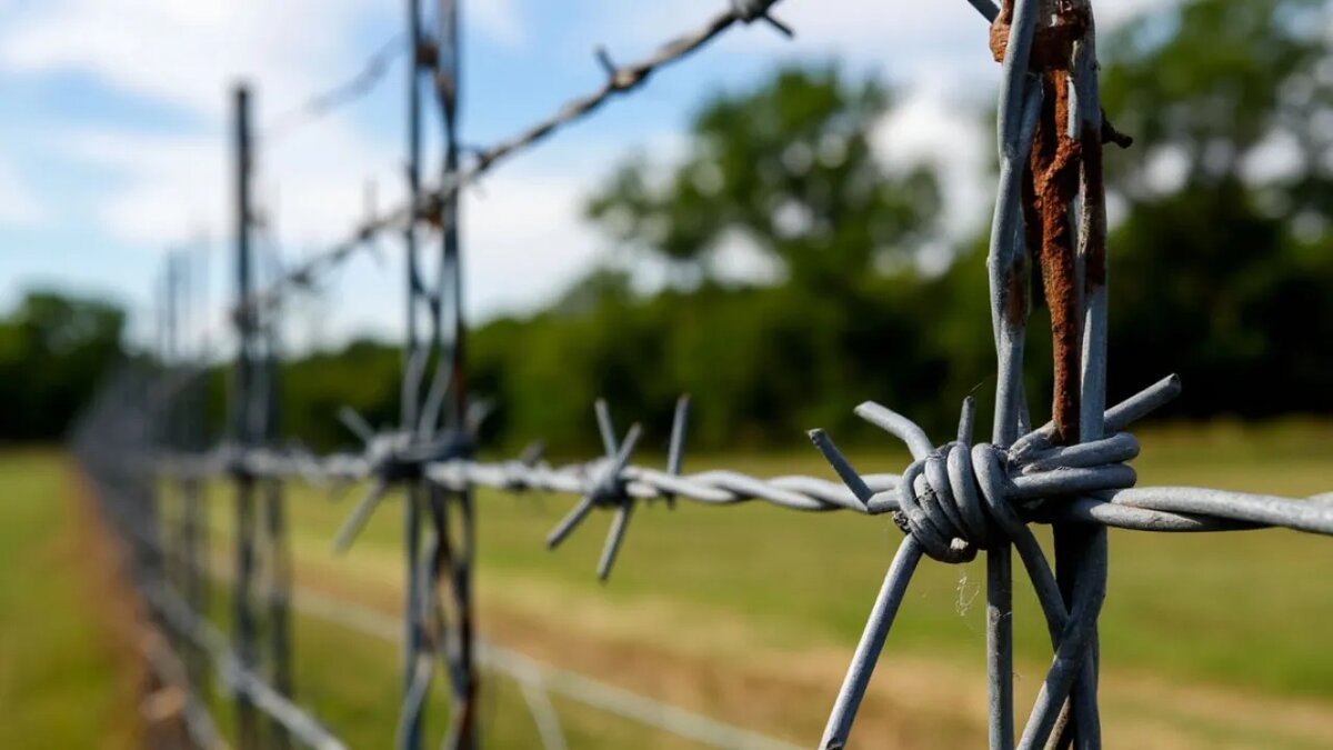    Сгенерировано ИИ