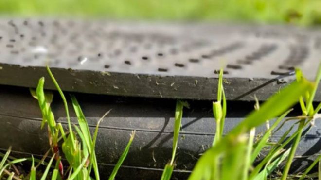 Фото: прокуратура Санкт-Петербурга