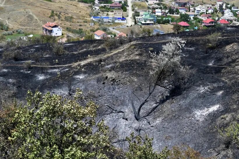     © РИА Новости. Дмитрий Макеев