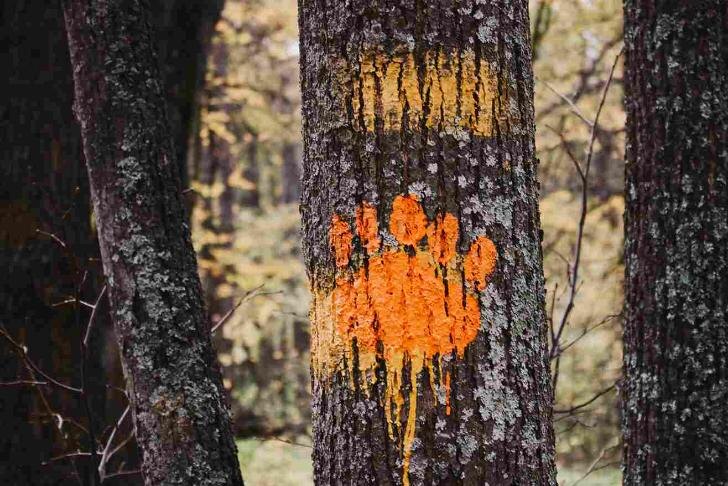    Фото: официальный сайт национального парк а «Башкирия»