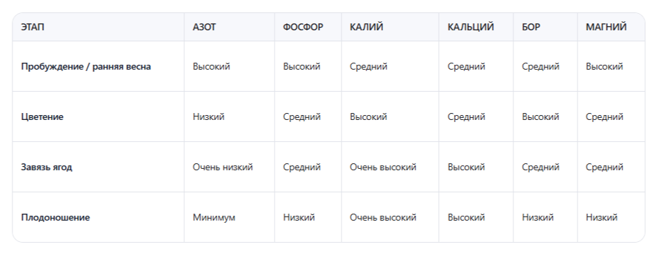 потребности клубники по сезонам: таблица