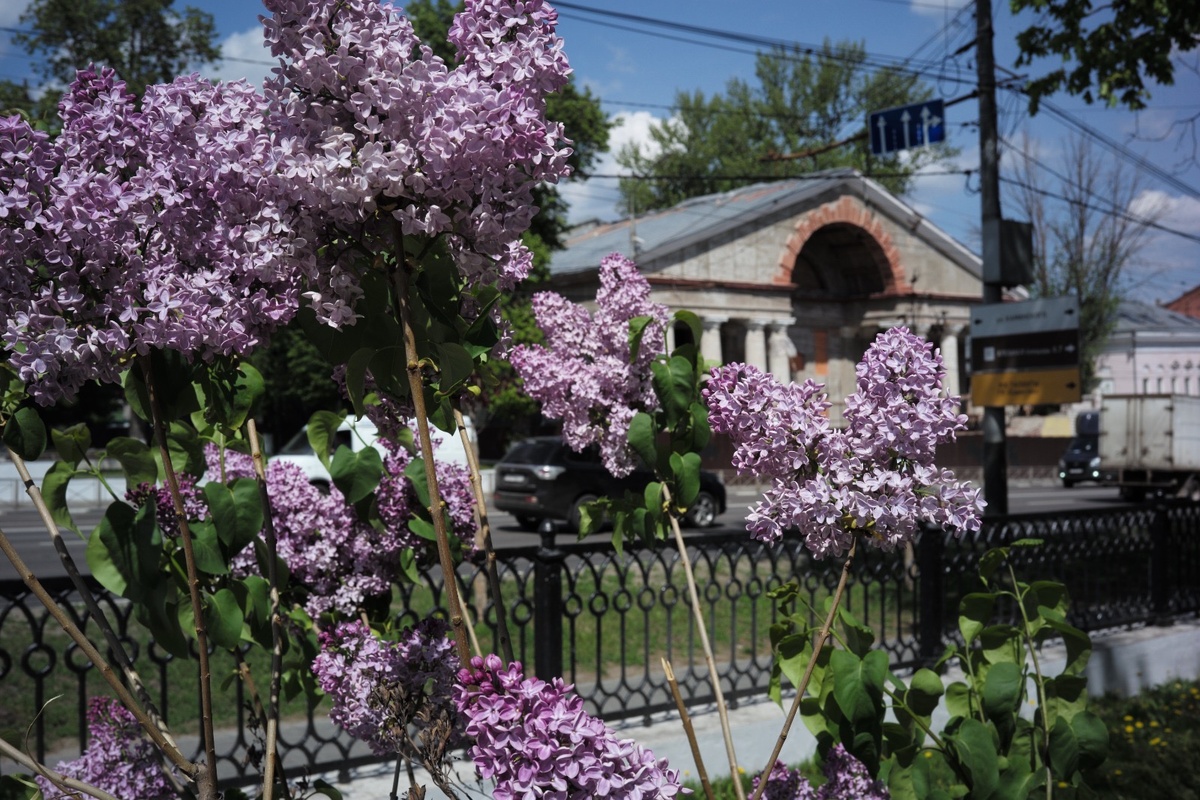 Фото: Александр Панов
