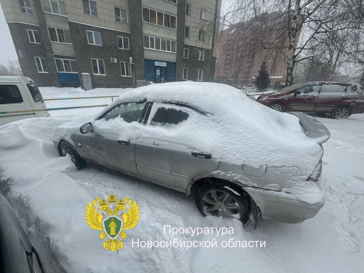    Фото: прокуратура НСО