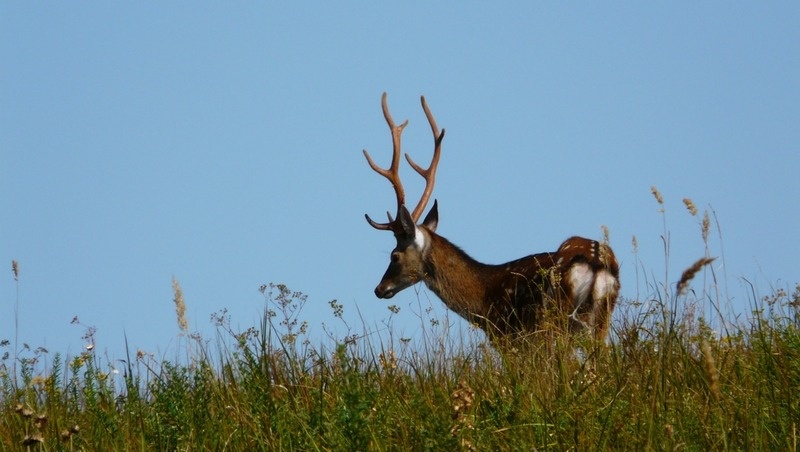      Фото: минприроды СК
