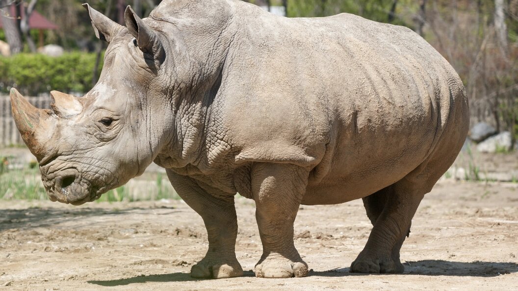    Фото: Aleksey Smyshlyaev/Global Look Press