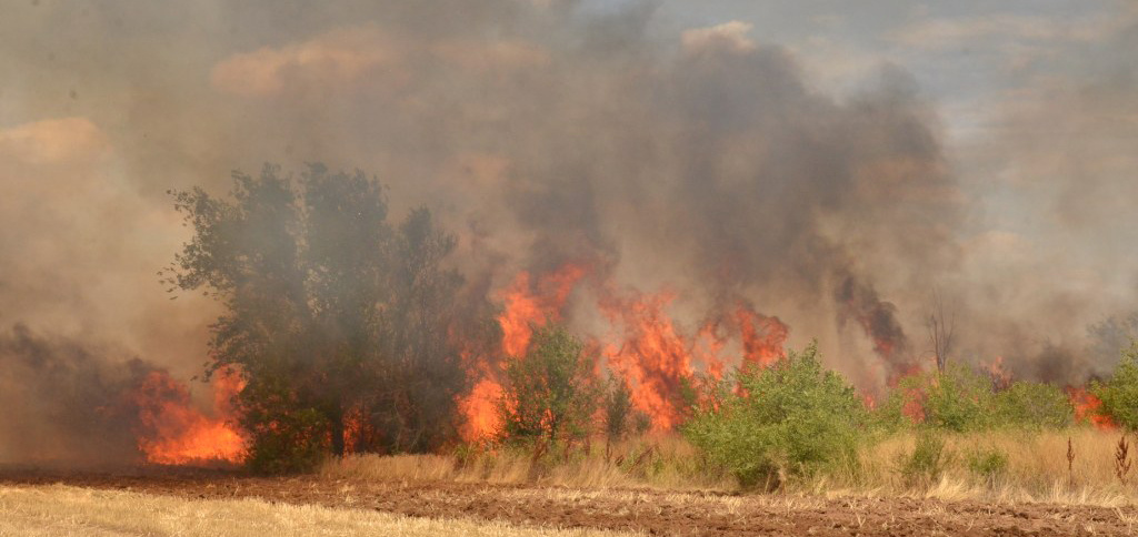    ???????????????????????????????????? redaktor