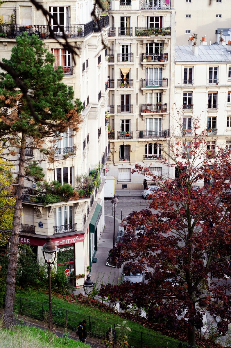 Фото: Alex Krugla / Pexels