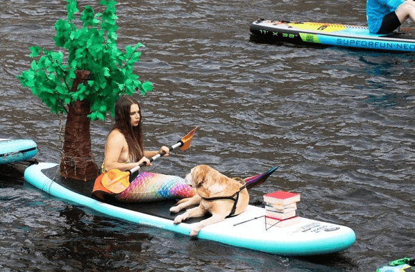    Фото: Фонтанка.ру