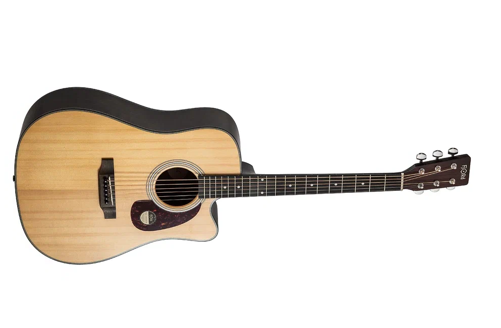 Гитара Fjord 800N