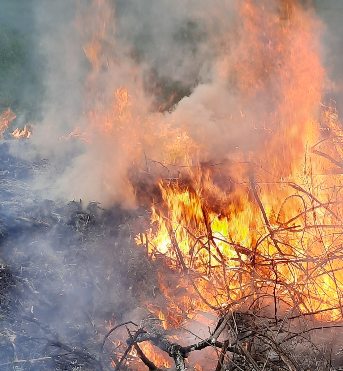Когда огонь становится не под контролем. Фото автора 