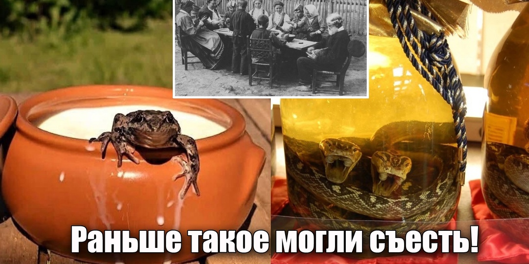Самые необычные и странные рецепты, как только это могли есть в старину