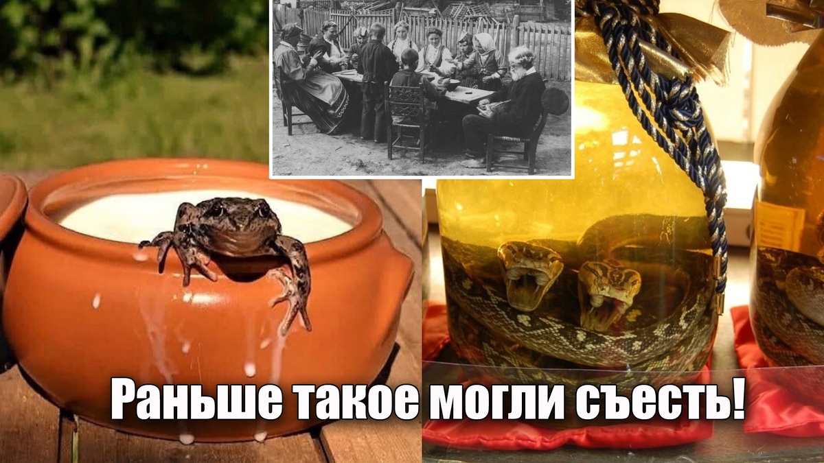 Раньше люди это могли съесть и выбора у них не было, а рецепты впечатляют!