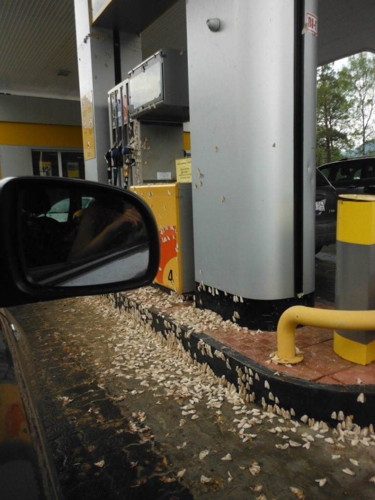 видимо заправиться прилетели)