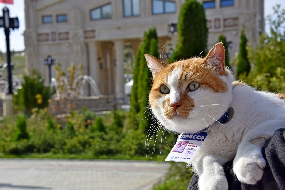 Статья для тех, кто не решил, где провести "Ночь музеев"