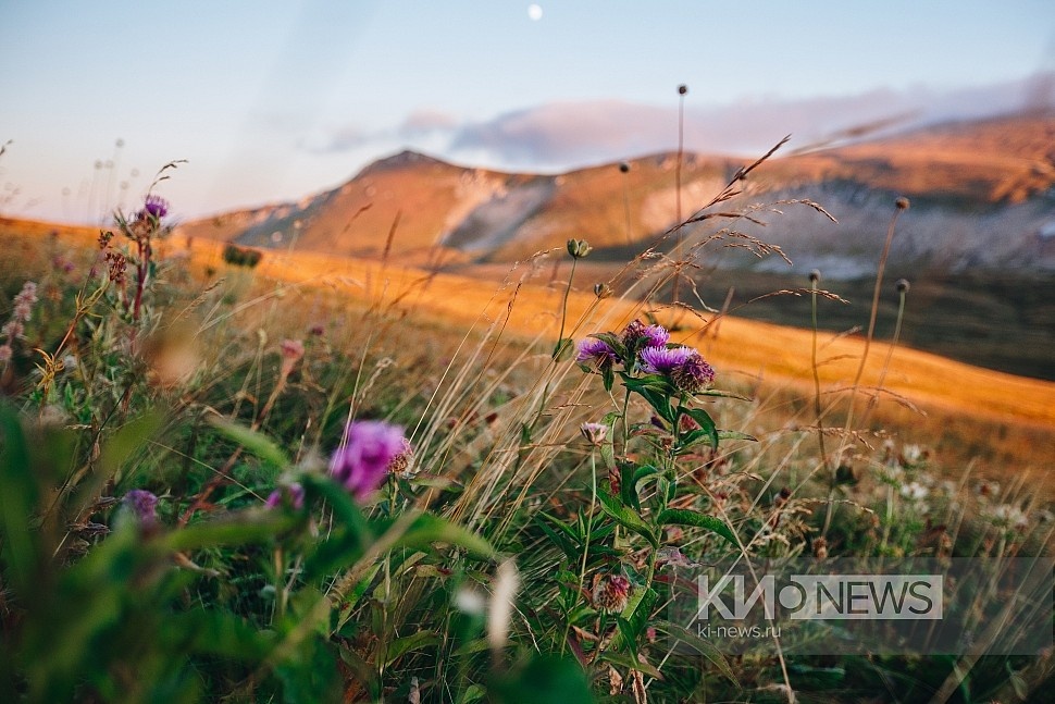 Фото: Краснодарские известия