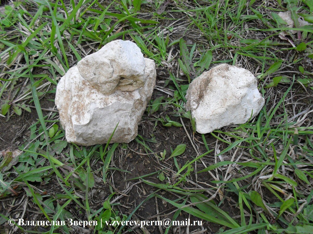 Фото 2. Указание направления движения.