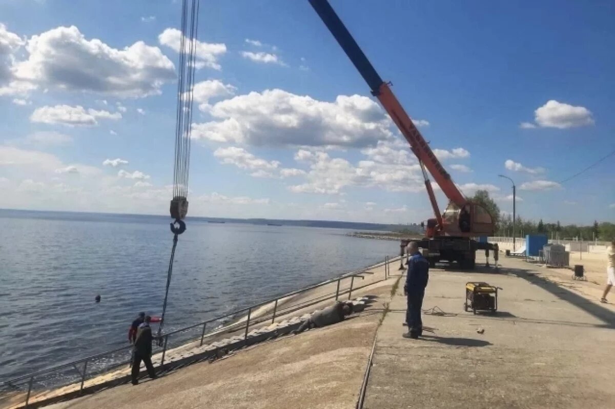    На центральном пляже Ульяновска установили лестницы для спуска в воду
