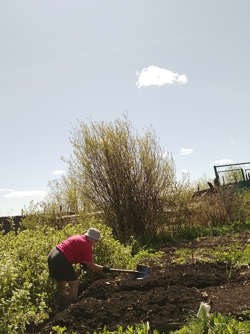 Посевная. Начало.