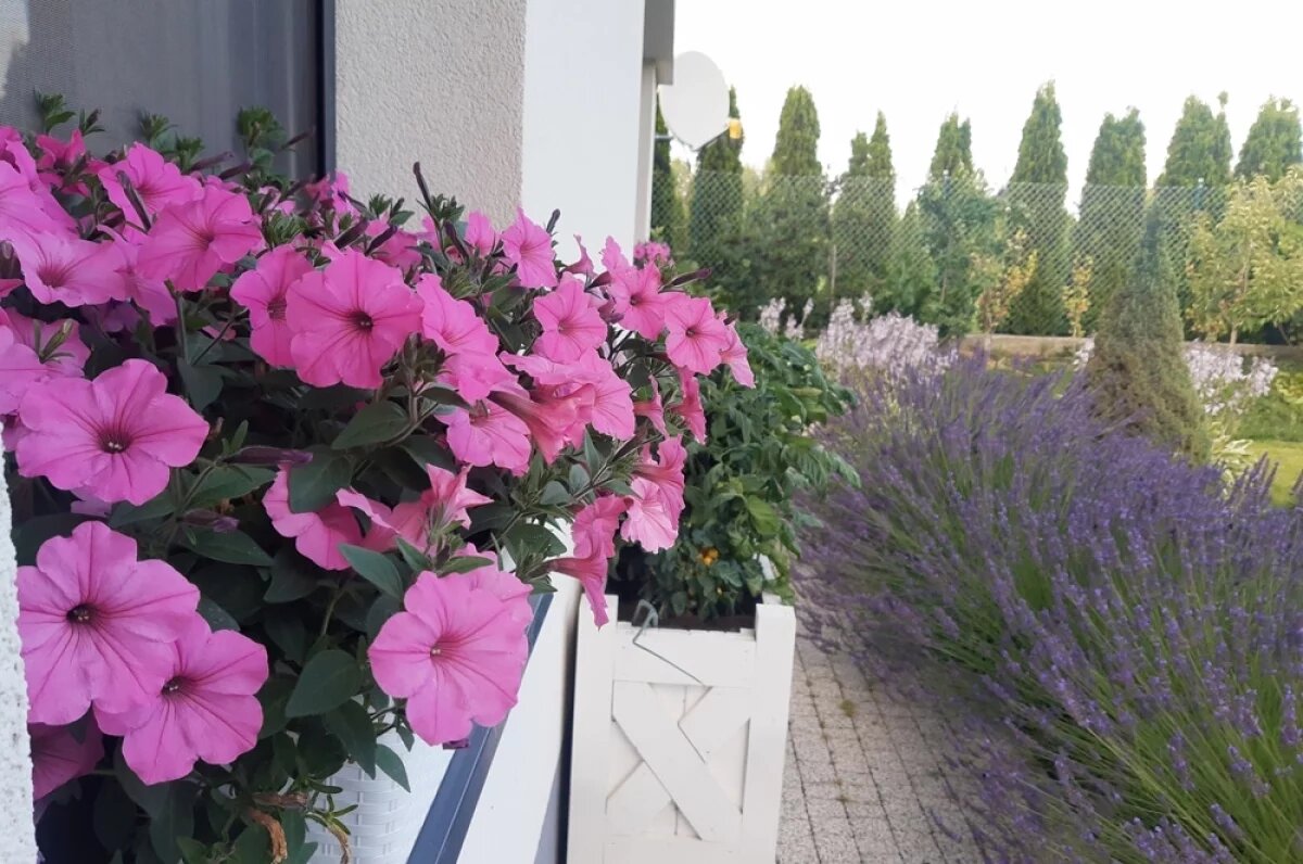    Конкурс красоты.