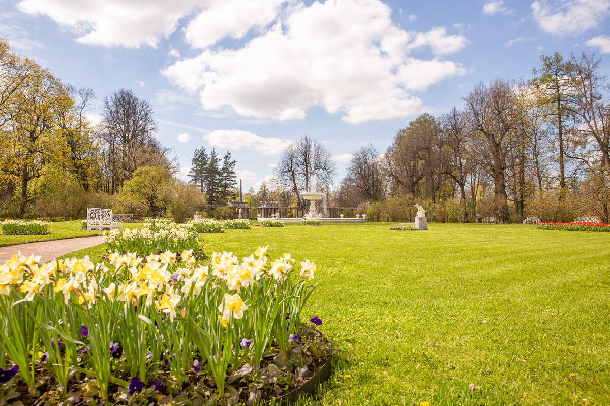 Фото: ГМЗ «Царское Село», Святослав Новиков
