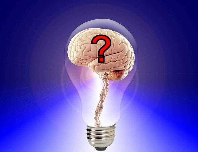 Пчеловодство