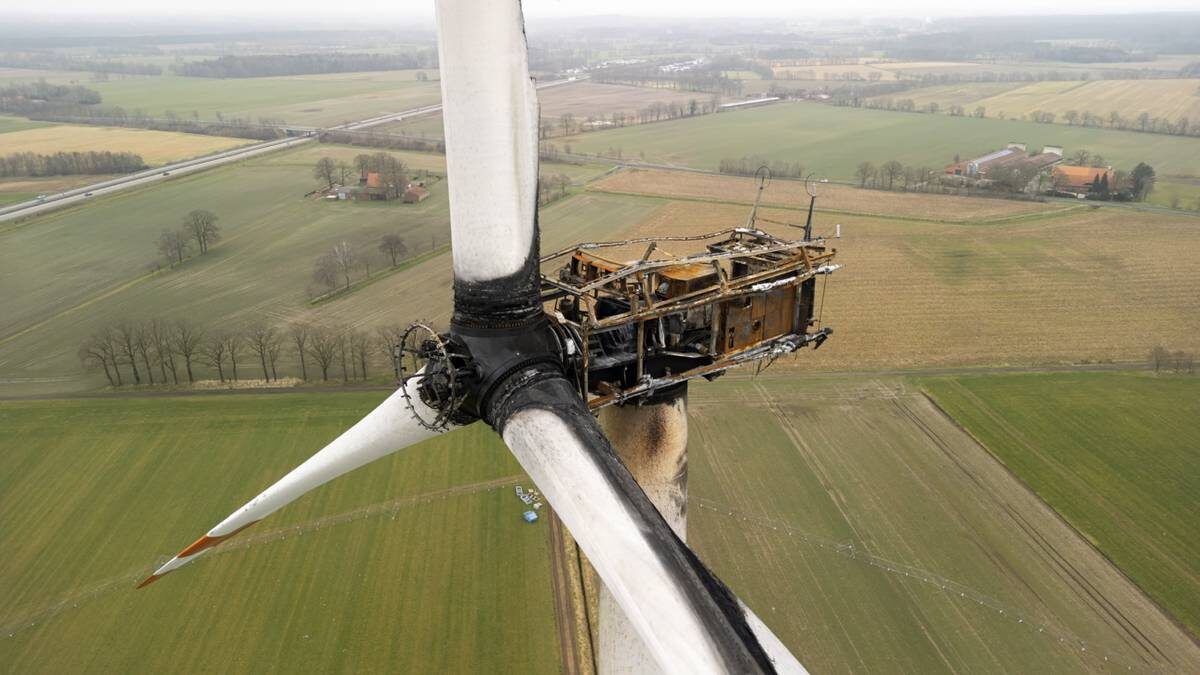    Фото: Shutterstock