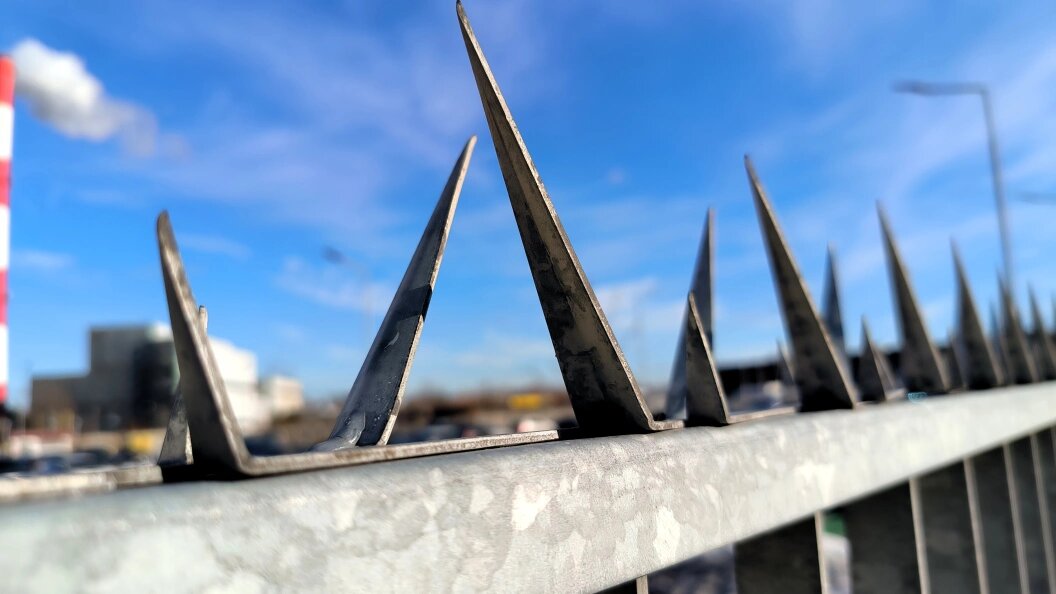    Maksim Konstantinov/Global Look Press