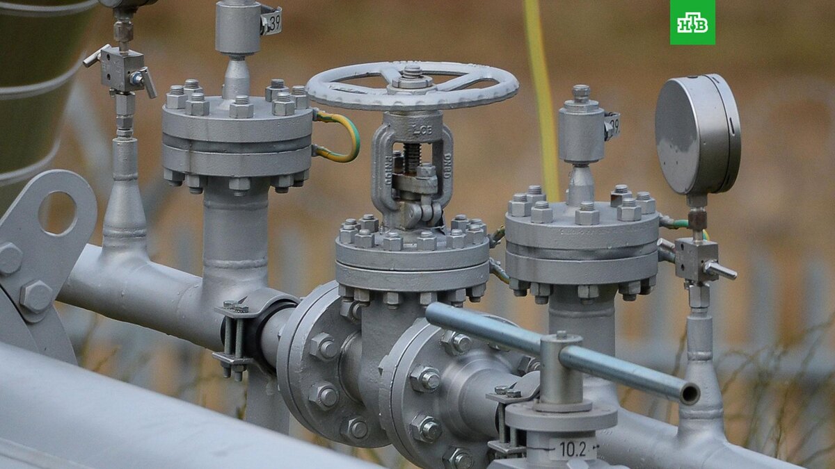    Фото: РИА Новости © 2025, Алексей Витвицкий