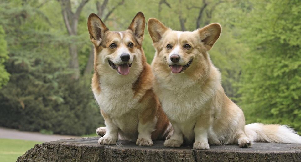    Caroline Brinkmann/imageBROKER.com / www.globallookpress.com